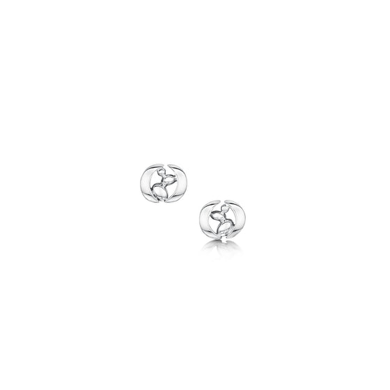 Captivate Small Silver Stud Earrings